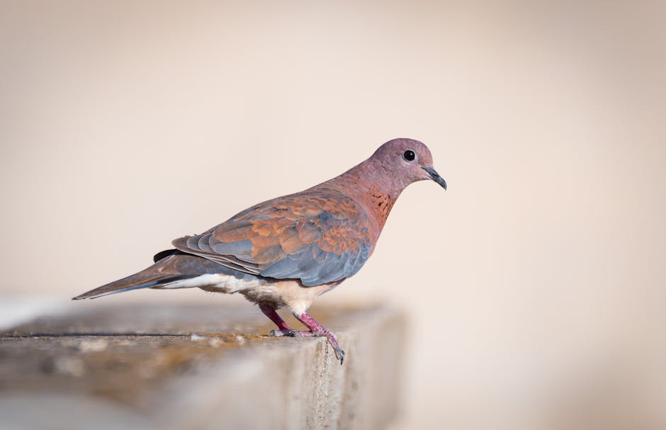 The Art of Nature Journaling: Observing the Wild Mindfully