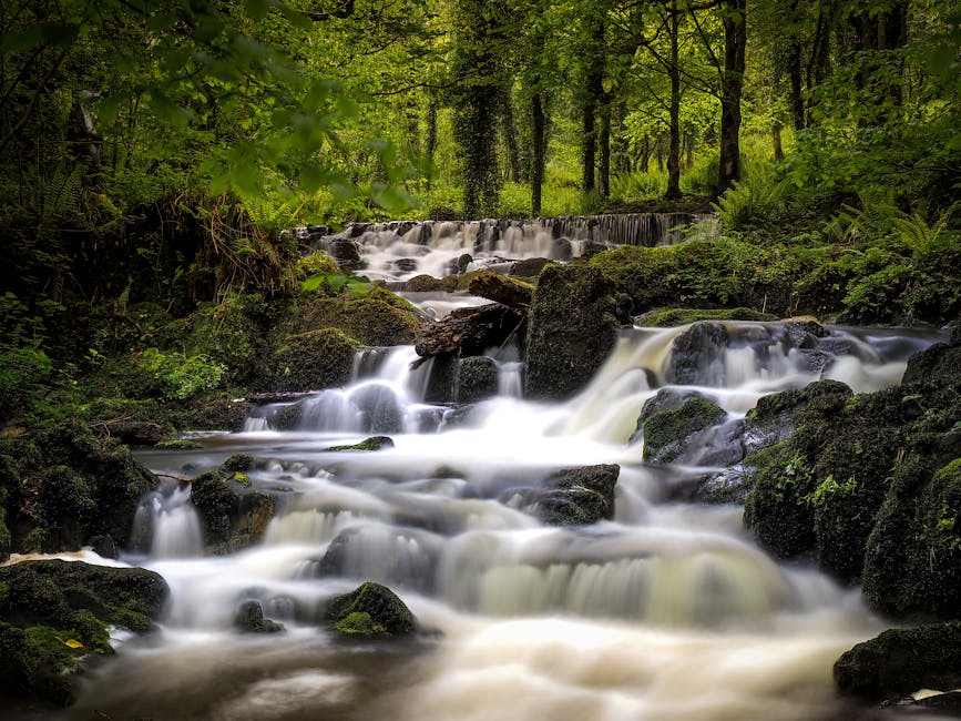 Chasing Waterfalls: A Guide to Scenic Hikes In Ireland